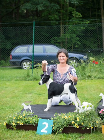 JV Rajnochovice 2018_V2